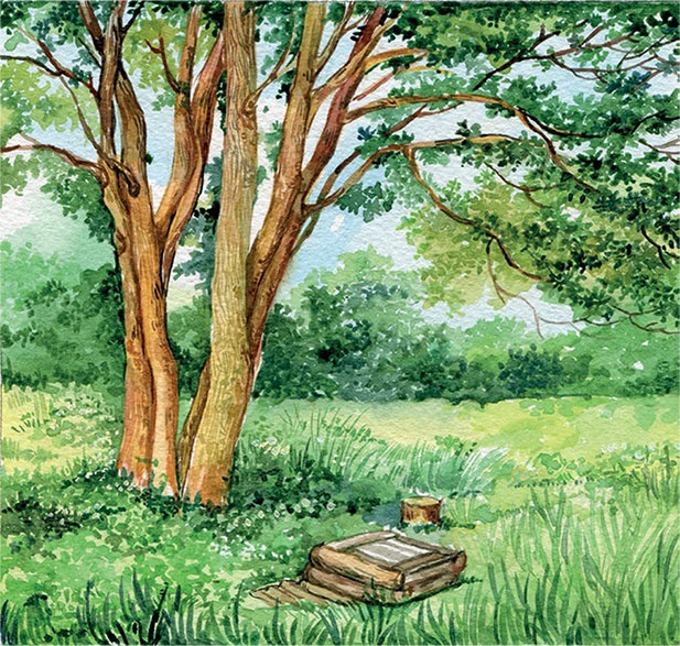 Иллюстрация к книге — Родники [i_010.jpg]