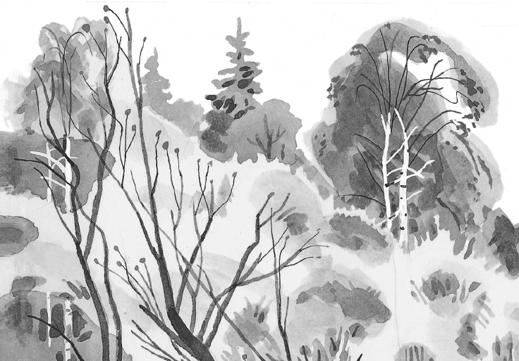 Иллюстрация к книге — Лесные шорохи [i_054.jpg]