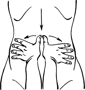 Иллюстрация к книге — Я скоро стану мамой. Главная книга для главного события в вашей жизни [_106.jpg]