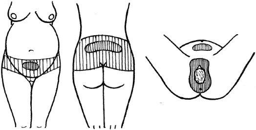 Иллюстрация к книге — Я скоро стану мамой. Главная книга для главного события в вашей жизни [_126.jpg]