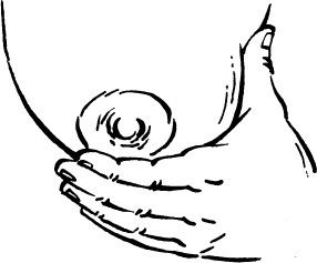 Иллюстрация к книге — Я скоро стану мамой. Главная книга для главного события в вашей жизни [_151.jpg]