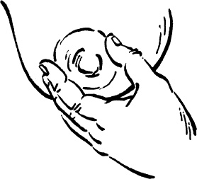 Иллюстрация к книге — Я скоро стану мамой. Главная книга для главного события в вашей жизни [_152.jpg]