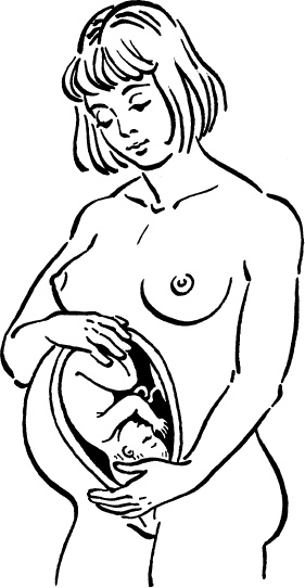 Иллюстрация к книге — Я скоро стану мамой. Главная книга для главного события в вашей жизни [_16.jpg]