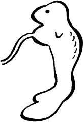 Иллюстрация к книге — Я скоро стану мамой. Главная книга для главного события в вашей жизни [_20.jpg]