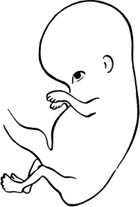 Иллюстрация к книге — Я скоро стану мамой. Главная книга для главного события в вашей жизни [_24.jpg]