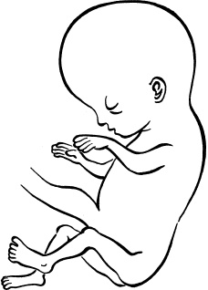 Иллюстрация к книге — Я скоро стану мамой. Главная книга для главного события в вашей жизни [_25.jpg]