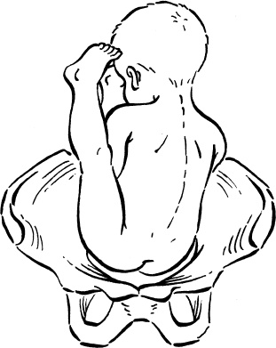 Иллюстрация к книге — Я скоро стану мамой. Главная книга для главного события в вашей жизни [_30.jpg]