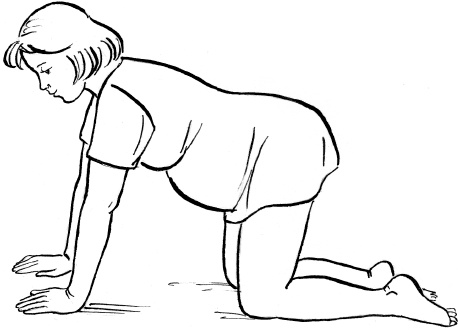 Иллюстрация к книге — Я скоро стану мамой. Главная книга для главного события в вашей жизни [_47.jpg]