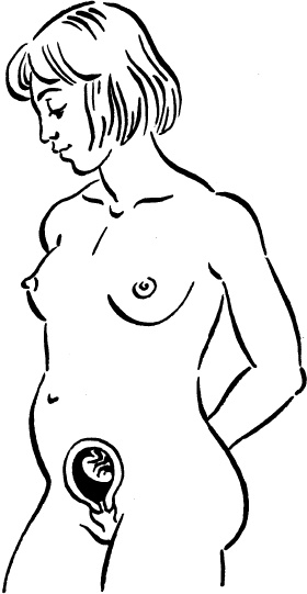 Иллюстрация к книге — Я скоро стану мамой. Главная книга для главного события в вашей жизни [_7.jpg]