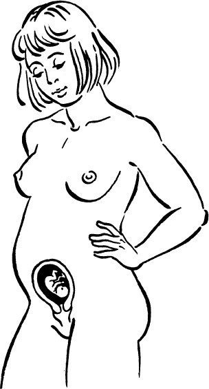 Иллюстрация к книге — Я скоро стану мамой. Главная книга для главного события в вашей жизни [_8.jpg]