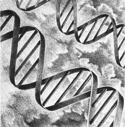 Иллюстрация к книге — 7 навыков высокоэффективных семей [i_019.jpg]