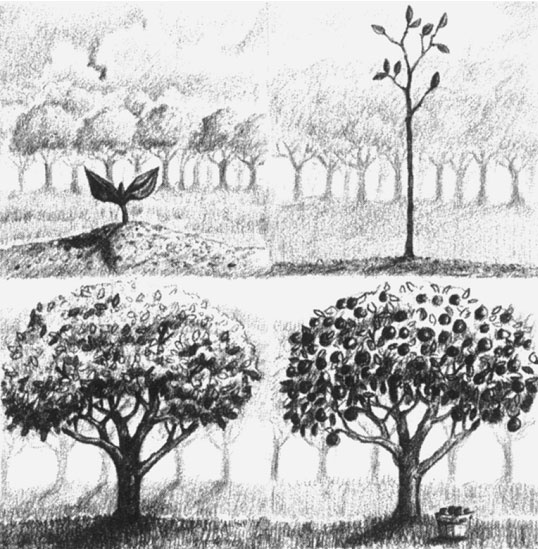 Иллюстрация к книге — 7 навыков высокоэффективных семей [i_040.jpg]