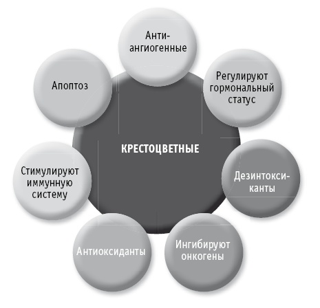 Иллюстрация к книге — Мои рецепты от рака. Опыт врача, победившего онкологию [i_064.jpg]