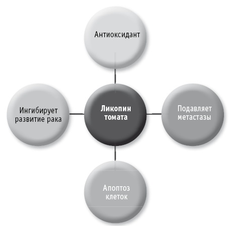 Иллюстрация к книге — Мои рецепты от рака. Опыт врача, победившего онкологию [i_066.jpg]