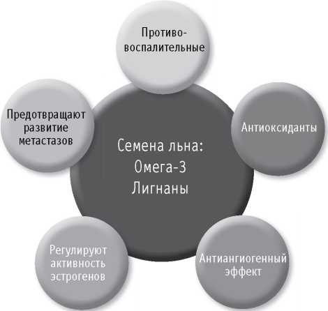 Иллюстрация к книге — Мои рецепты от рака. Опыт врача, победившего онкологию [i_071.jpg]