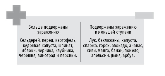 Иллюстрация к книге — Мои рецепты от рака. Опыт врача, победившего онкологию [i_084.jpg]
