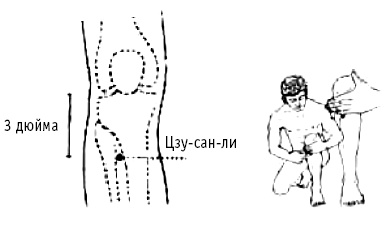 Иллюстрация к книге — Мои рецепты от рака. Опыт врача, победившего онкологию [i_089.jpg]