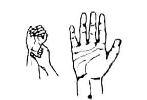 Иллюстрация к книге — Мои рецепты от рака. Опыт врача, победившего онкологию [i_091.jpg]