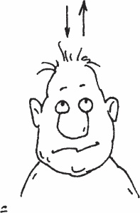 Иллюстрация к книге — Одна книга на всю жизнь. Весь "Опыт дурака" в одной книге [_32.jpg]