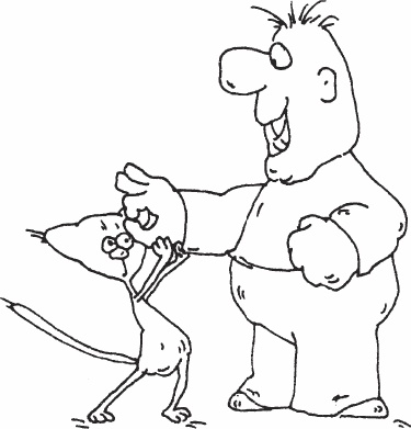 Иллюстрация к книге — Одна книга на всю жизнь. Весь "Опыт дурака" в одной книге [_40.jpg]