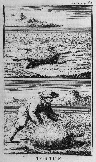 Иллюстрация к книге — Экспедиция сэра Фрэнсиса Дрейка в Вест-Индию в 1585–1586 годах [i_045.jpg]