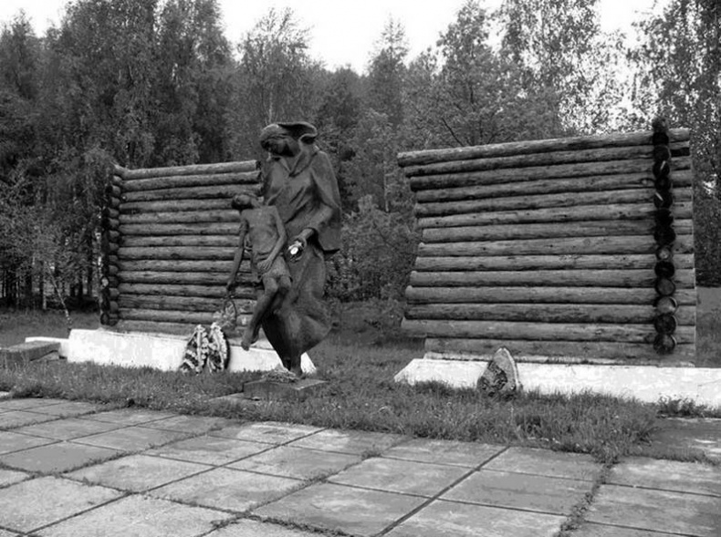 Иллюстрация к книге — «Я убит подо Ржевом». Трагедия Мончаловского «котла» [i_100.jpg]