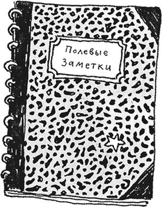 Иллюстрация к книге — Я не такая. Девчонка рассказывает, чему она "научилась" [i_003.jpg]