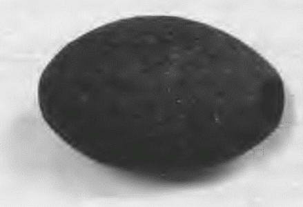 Иллюстрация к книге — "Пушечное мясо" Первой мировой. Пехота в бою [i_055.jpg]