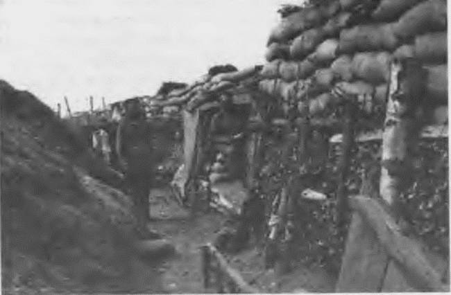 Иллюстрация к книге — "Пушечное мясо" Первой мировой. Пехота в бою [i_070.jpg]