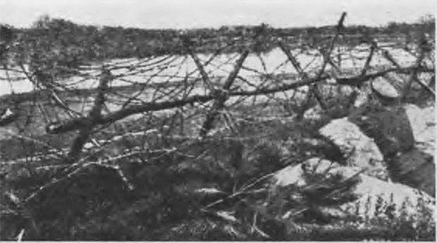 Иллюстрация к книге — "Пушечное мясо" Первой мировой. Пехота в бою [i_091.jpg]