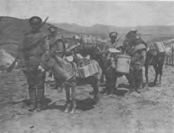 Иллюстрация к книге — "Пушечное мясо" Первой мировой. Пехота в бою [i_100.jpg]