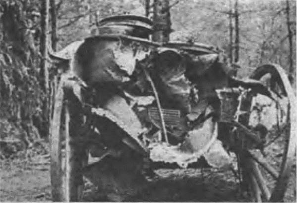 Иллюстрация к книге — "Пушечное мясо" Первой мировой. Пехота в бою [i_115.jpg]