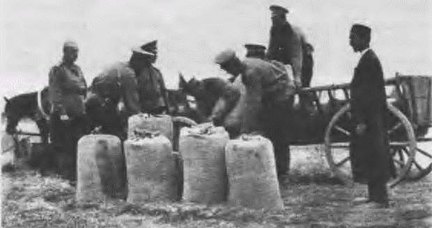 Иллюстрация к книге — "Пушечное мясо" Первой мировой. Пехота в бою [i_116.jpg]