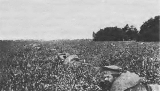 Иллюстрация к книге — "Пушечное мясо" Первой мировой. Пехота в бою [i_135.jpg]