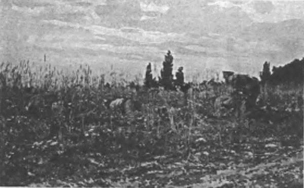 Иллюстрация к книге — "Пушечное мясо" Первой мировой. Пехота в бою [i_136.jpg]