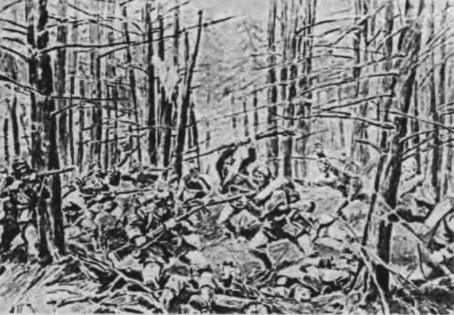 Иллюстрация к книге — "Пушечное мясо" Первой мировой. Пехота в бою [i_137.jpg]