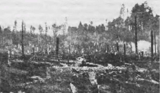 Иллюстрация к книге — "Пушечное мясо" Первой мировой. Пехота в бою [i_140.jpg]