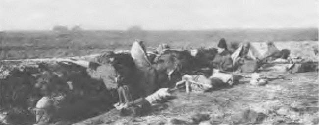 Иллюстрация к книге — "Пушечное мясо" Первой мировой. Пехота в бою [i_152.jpg]