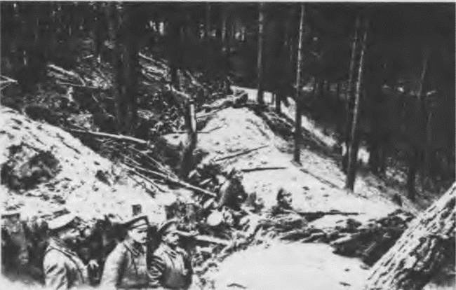 Иллюстрация к книге — "Пушечное мясо" Первой мировой. Пехота в бою [i_164.jpg]