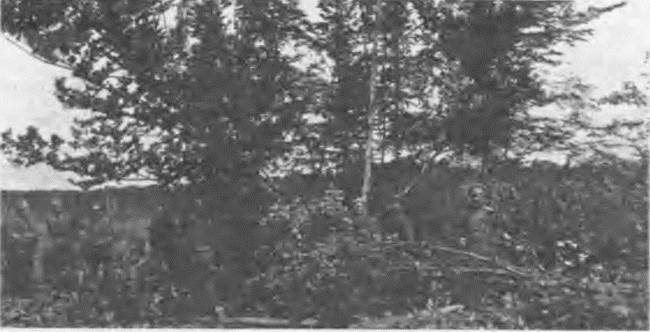 Иллюстрация к книге — "Пушечное мясо" Первой мировой. Пехота в бою [i_172.jpg]