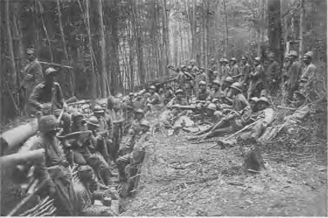 Иллюстрация к книге — "Пушечное мясо" Первой мировой. Пехота в бою [i_180.jpg]