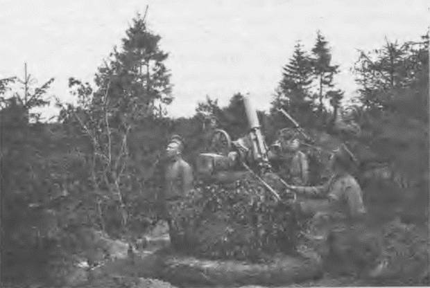 Иллюстрация к книге — "Пушечное мясо" Первой мировой. Пехота в бою [i_184.jpg]