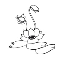 Иллюстрация к книге — Крайон. 85 важнейших практик для обретения Силы, Света, Защиты и Любви [Autogen_eBook_id28.jpg]