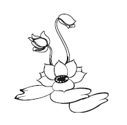 Иллюстрация к книге — Крайон. 85 важнейших практик для обретения Силы, Света, Защиты и Любви [Autogen_eBook_id44.jpg]