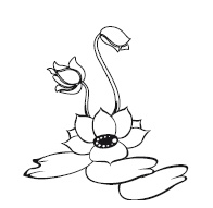 Иллюстрация к книге — Крайон. 85 важнейших практик для обретения Силы, Света, Защиты и Любви [Autogen_eBook_id62.jpg]