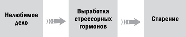 Иллюстрация к книге — Управляй возрастом. Живи дольше, зарабатывай больше [i_002.jpg]