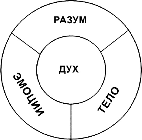 Иллюстрация к книге — Осознанно жить. Как? Книга-тренинг [_13.jpg]