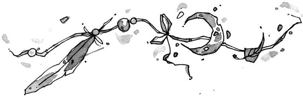 Иллюстрация к книге — Витчхантеры. 1. Идентификация Вики [i_003.jpg]