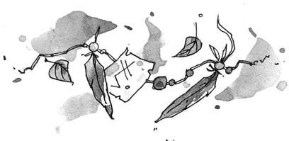 Иллюстрация к книге — Витчхантеры. 1. Идентификация Вики [i_004.jpg]