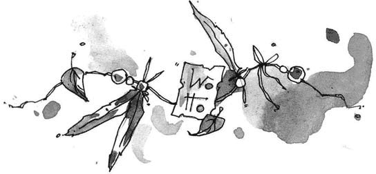 Иллюстрация к книге — Витчхантеры. 1. Идентификация Вики [i_013.jpg]